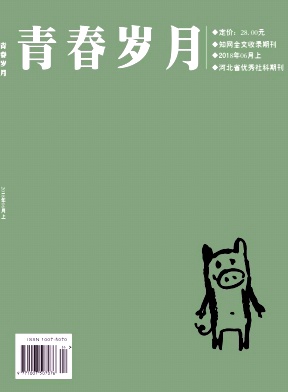 青春歲月雜志