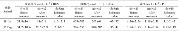 動物醫學論文